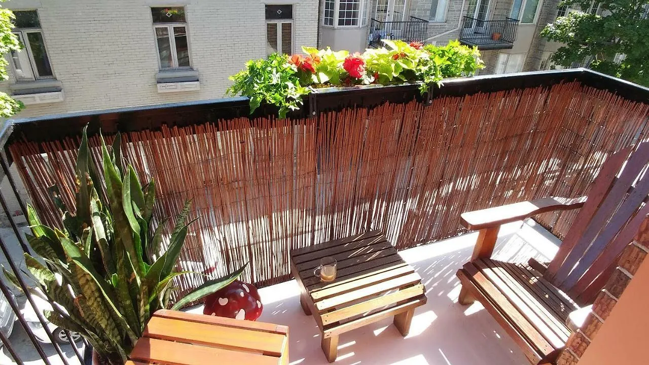 L'Escogriffe B&B Montreal 0*,  Canada